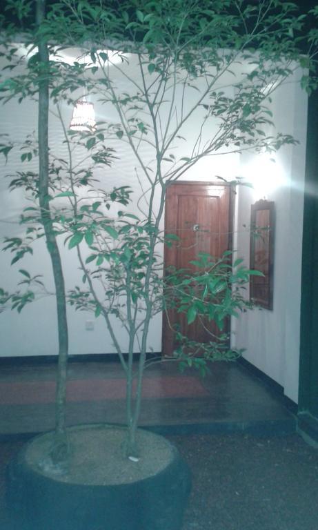 Hotel Milano Grand Dambulla Exterior foto