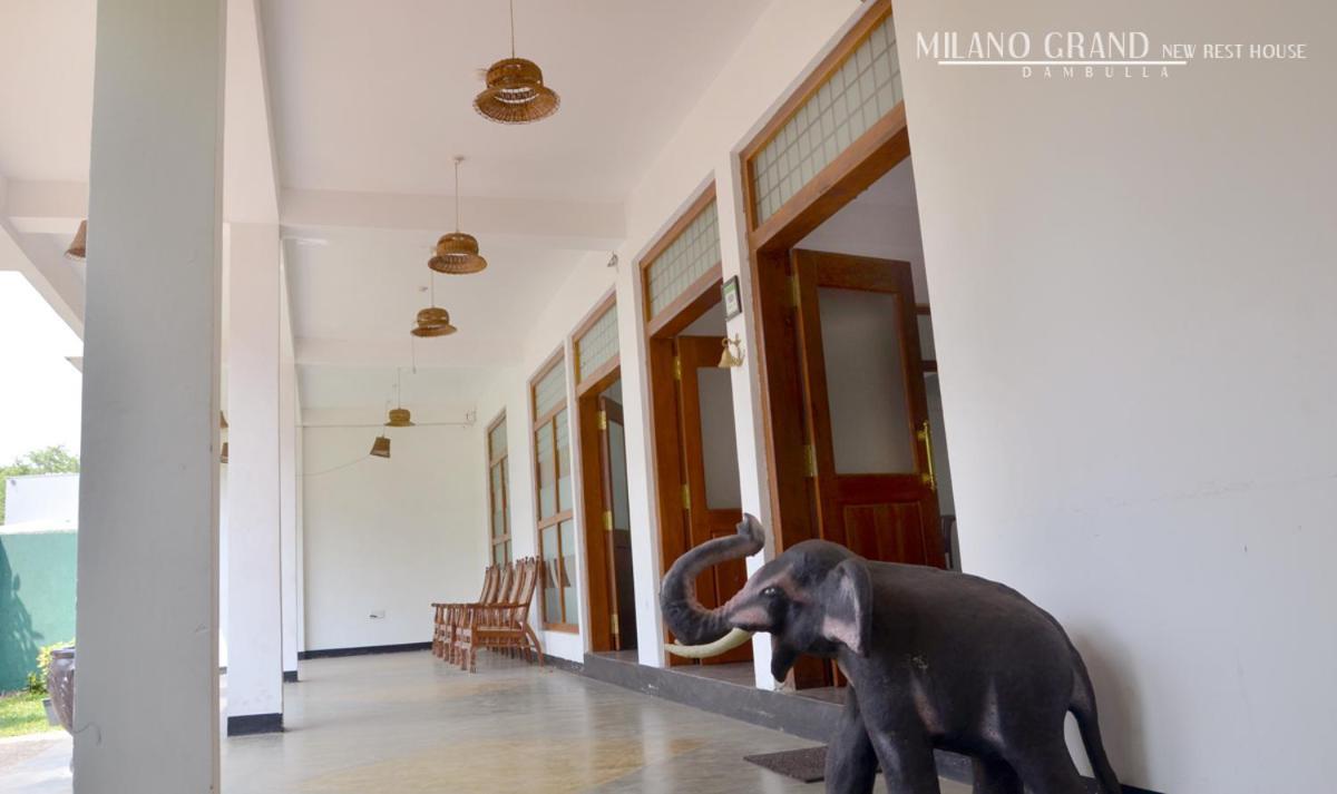 Hotel Milano Grand Dambulla Exterior foto